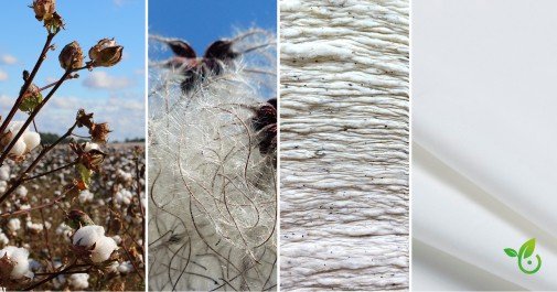 Alles über Baumwolle: Die Eigenschaften von Baumwollstoff - House of U